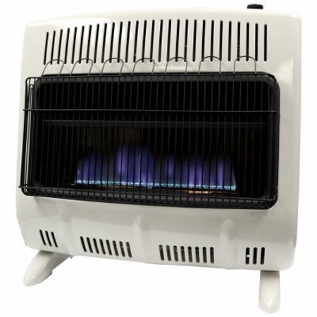 ENERCO/MR. HEATER 30K BTU DF BLU Heater F299330